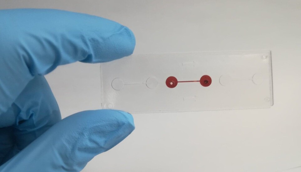 Brikken kan i fremtiden brukes til å undersøke hvordan nye medisiner virker i menneskekroppen før den kliniske testingen begynner. (Foto: Neil Convery og Nikolaj Gadegaard, University of Glasgow)