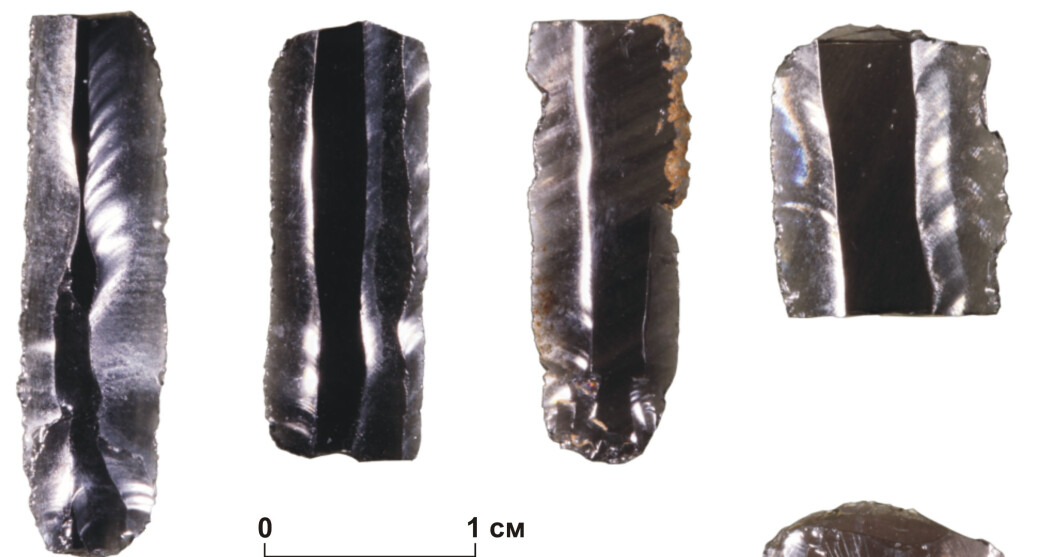 Bearbeidet obsidian ble brukt langt mot nord i steinalderen, selv om den ikke fantes der naturlig. Steinen er et ypperlig verktøy på grunn av de skarpe kantene. (Foto: Vladimir V. Pitulko mfl 2019) Bearbeidet obsidian ble brukt langt mot nord i steinalderen, selv om den ikke fantes der naturlig. Steinen er et ypperlig verktøy på grunn av de skarpe kantene. (Foto: Vladimir V. Pitulko mfl 2019)