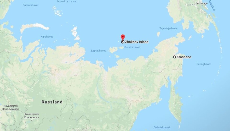 Øya Zhokhov ligger 76 grader nord. I steinalderen var den en del av fastlandet. Innsjøen Krasnoye ligger 150 mil unna i luftlinje. (Illustrasjon: Google maps)