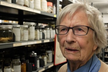 Marit E. Christiansen kjenner spritlageret på Zoologisk museum i Oslo som sin egen bukselomme. (Foto: Eivind Torgersen) Marit E. Christiansen kjenner spritlageret på Zoologisk museum i Oslo som sin egen bukselomme. (Foto: Eivind Torgersen)