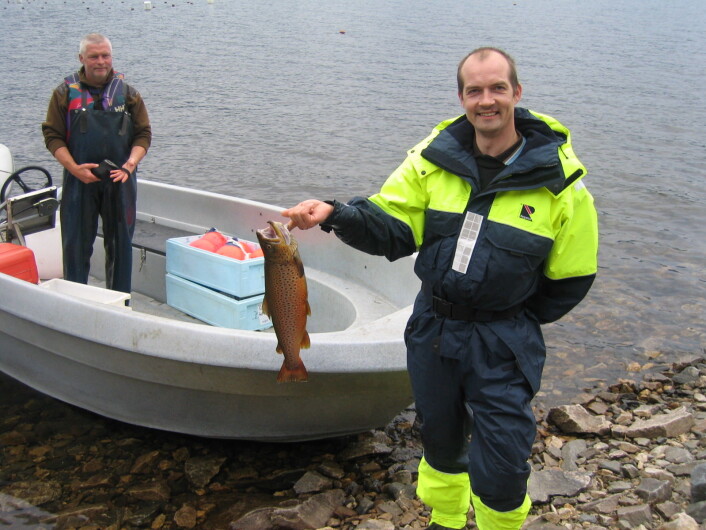 Biologer er spesielt ute etter å forstå hva som driver konkurransen mellom ulike arter, slik som røye, sik og ørret og hvordan det påvirker bestandene. Noen ganger får forskerne fin-fin fangst. (Foto: Hallvard Jensen, NIBIO) Biologer er spesielt ute etter å forstå hva som driver konkurransen mellom ulike arter, slik som røye, sik og ørret og hvordan det påvirker bestandene. Noen ganger får forskerne fin-fin fangst. (Foto: Hallvard Jensen, NIBIO)