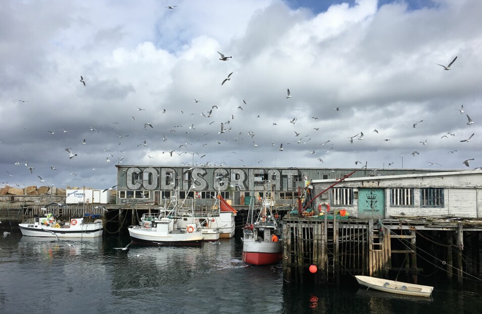 «Cod is great». Hverdagslandskap og turistlandskap må sees i sammenheng, mener gjestebloggeren som har tatt dette bildet i Vardø. (Foto: Thomas Haraldseid)