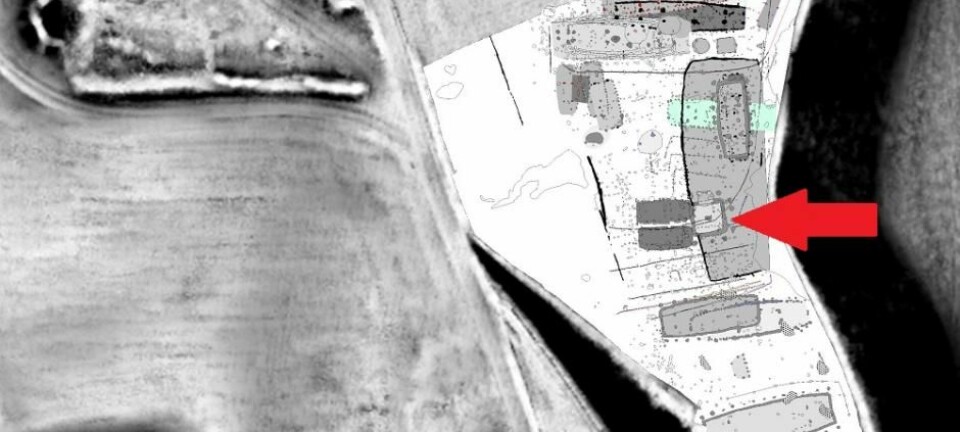 Her ser vi den sørlige og høytliggende delen av boplassen ved Toftum Næs. Pilen indikerer stedet der tårnet var plassert.  (Illustrasjon: Kamilla Fiedler Terkildsen/videnskab.dk)
