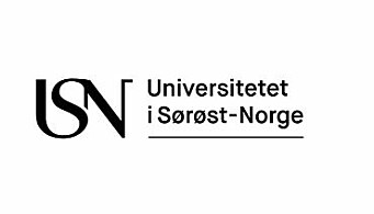 Førsteamanuensis / førstelektor / universitetslektor i norsk som andrespråk