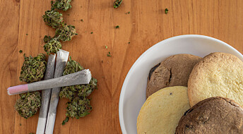 Salget av snacks økte der cannabis ble lovlig