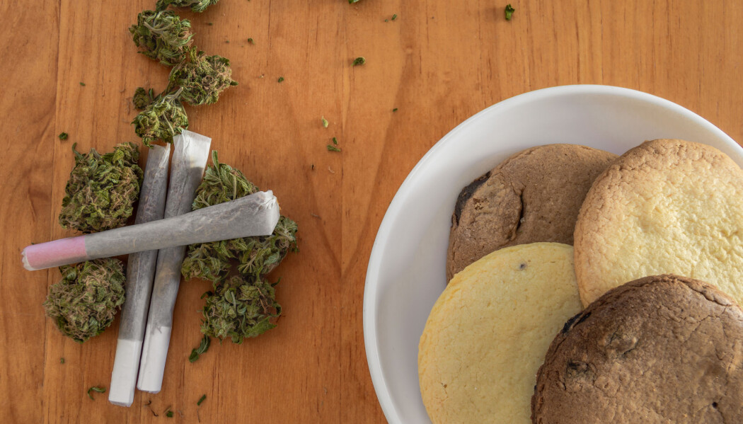 Kan legalisering av marijuana få oss til å spise mer snacks? (Foto: Kemedo / Shutterstock / NTB scanpix) Kan legalisering av marijuana få oss til å spise mer snacks? (Foto: Kemedo / Shutterstock / NTB scanpix)