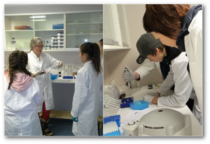 Fra Forskerlaben på Svanhovd, hvor det er bygget et eget laboratorium for elevene. Foto: NIBIO Svanhovd Fra Forskerlaben på Svanhovd, hvor det er bygget et eget laboratorium for elevene. Foto: NIBIO Svanhovd