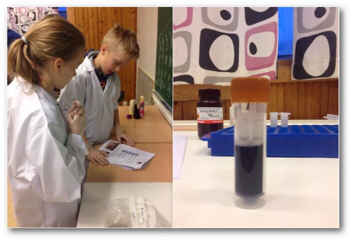 Klasserommet er gjort om til et laboratorium. Foto: Siv Grethe Aarnes Klasserommet er gjort om til et laboratorium. Foto: Siv Grethe Aarnes