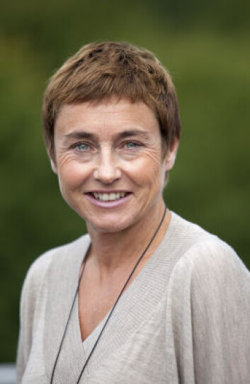 Hege Hisdal. (Foto: NVE) Hege Hisdal. (Foto: NVE)