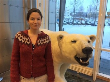 Miljøgiftforsker Heli Routti er førsteforfatter av studien som viser sammenheng mellom fettlagring og miljøgifter. (Foto: Elin Vinje Jenssen / Norsk Polarinstitutt) Miljøgiftforsker Heli Routti er førsteforfatter av studien som viser sammenheng mellom fettlagring og miljøgifter. (Foto: Elin Vinje Jenssen / Norsk Polarinstitutt)