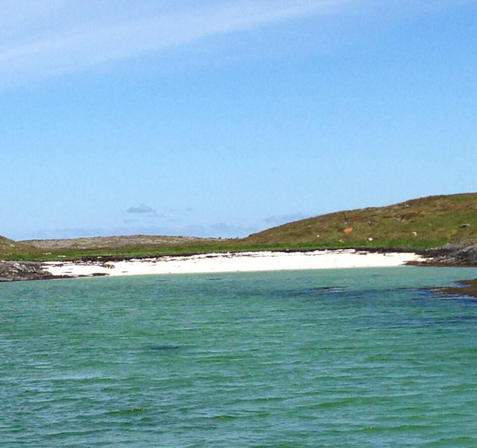 Hva er nytteverdien av å kartlegge marin natur egentlig?