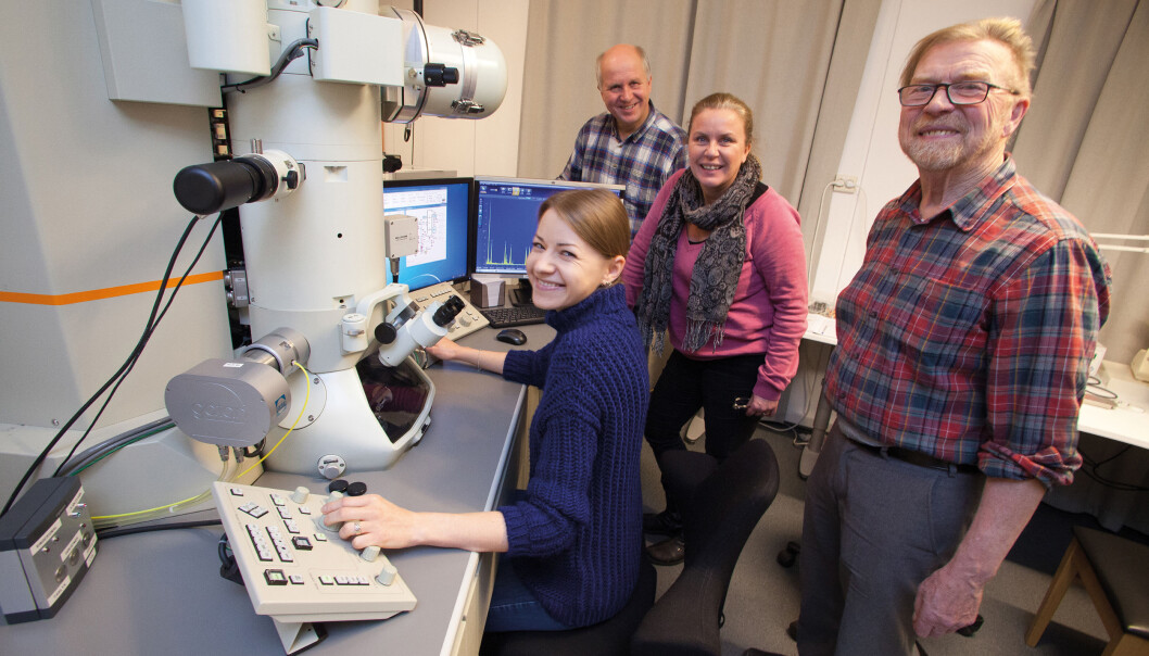 Raluca Tofan (foran), Vidar Hansen (t.v.), Anette Gunnæs og Johan Taftø undersøker egenskapene til termoelektriske materialer i et elektronmikroskop med så god forstørrelse at det er mulig å se kolonner med enkeltatomer. (Foto: Yngve Vogt) Raluca Tofan (foran), Vidar Hansen (t.v.), Anette Gunnæs og Johan Taftø undersøker egenskapene til termoelektriske materialer i et elektronmikroskop med så god forstørrelse at det er mulig å se kolonner med enkeltatomer. (Foto: Yngve Vogt)