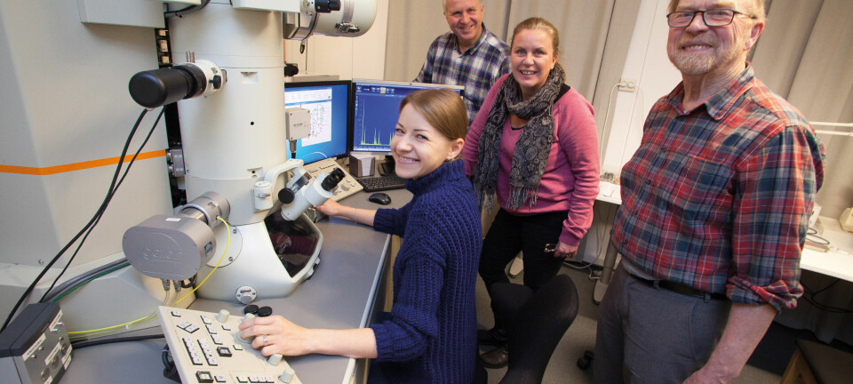 Raluca Tofan (foran), Vidar Hansen (t.v.), Anette Gunnæs og Johan Taftø undersøker egenskapene til termoelektriske materialer i et elektronmikroskop med så god forstørrelse at det er mulig å se kolonner med enkeltatomer.  (Foto: Yngve Vogt)