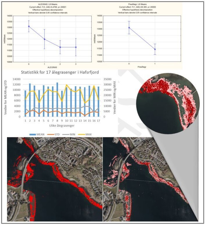 Øverst: Figurene viser analyse av intensitetsdata mot tettheter av ålegras (øverst, til venstre) og tilstede/fravær (øverst, til høyre) når kun data fra områder grunnere enn 3 m og kun for områder med høye tettheter av intensitetsdataene var tatt med. Midten: Statistikken for engene viste samme mønster. Nederst: Figur nederst til venstre viser områder modellert basert på ANOVA-analysene (LiDAR intensitet<12 000); figur til høyre viser resultatet fra Maximum Likelihood Classification (mørkerødt=tett ålegras, lyserødt=middels tett ålegras), med detaljer vist i sirkel. (Foto: Illustrasjon: Trine Bekkby, NIVA) Øverst: Figurene viser analyse av intensitetsdata mot tettheter av ålegras (øverst, til venstre) og tilstede/fravær (øverst, til høyre) når kun data fra områder grunnere enn 3 m og kun for områder med høye tettheter av intensitetsdataene var tatt med. Midten: Statistikken for engene viste samme mønster. Nederst: Figur nederst til venstre viser områder modellert basert på ANOVA-analysene (LiDAR intensitet<12 000); figur til høyre viser resultatet fra Maximum Likelihood Classification (mørkerødt=tett ålegras, lyserødt=middels tett ålegras), med detaljer vist i sirkel. (Foto: Illustrasjon: Trine Bekkby, NIVA)