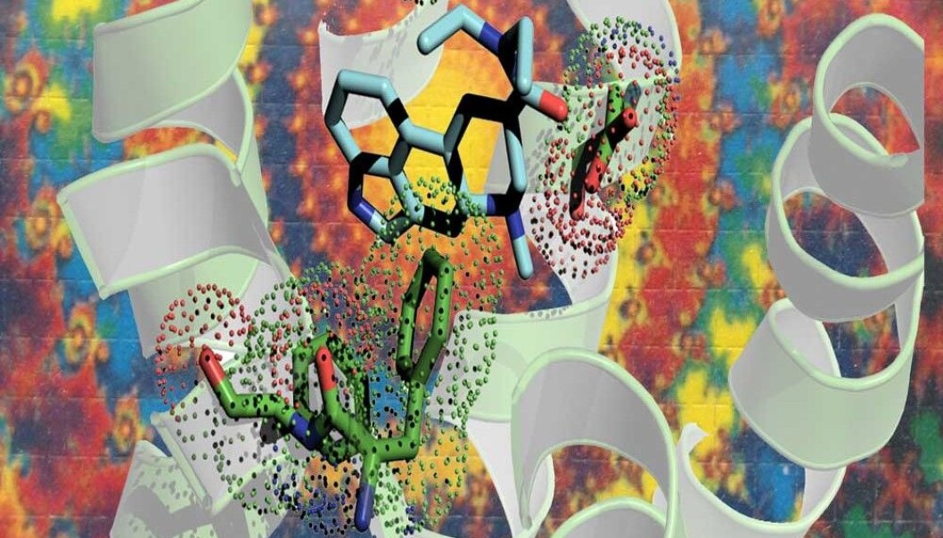 Hallusinasjon? En kunstnerisk fremstilling av LSD (lyseblått) som vever seg inn i en serotoninreseptor (hvitt bånd). (Illustrasjon: Bryan Roth) Hallusinasjon? En kunstnerisk fremstilling av LSD (lyseblått) som vever seg inn i en serotoninreseptor (hvitt bånd). (Illustrasjon: Bryan Roth)