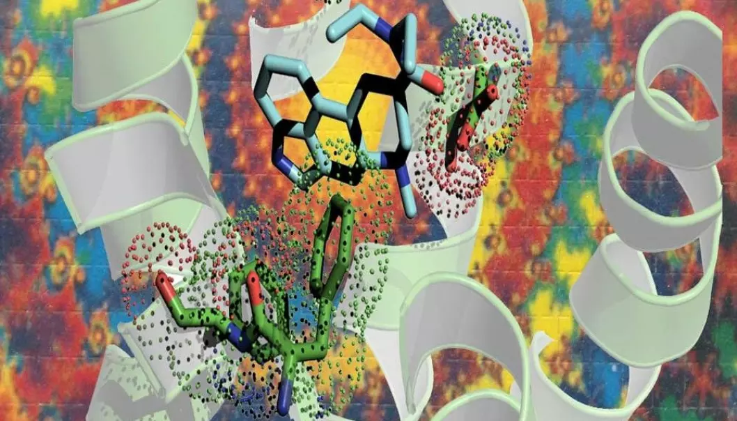 Hallusinasjon? En kunstnerisk fremstilling av LSD (lyseblått) som vever seg inn i en serotoninreseptor (hvitt bånd). (Illustrasjon: Bryan Roth)