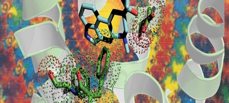 Hallusinasjon? En kunstnerisk fremstilling av LSD (lyseblått) som vever seg inn i en serotoninreseptor (hvitt bånd). (Illustrasjon: Bryan Roth)