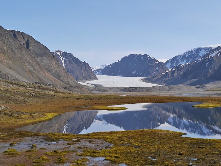 Ringhorndalen ved Wijdefjorden på Svalbard. Det var her den lille Svalbard-sommerfuglen ble gjenfunnet etter over 140 år. (Foto: Geir E. E. Søli) Ringhorndalen ved Wijdefjorden på Svalbard. Det var her den lille Svalbard-sommerfuglen ble gjenfunnet etter over 140 år. (Foto: Geir E. E. Søli)