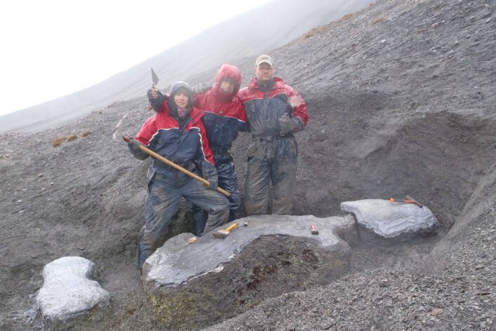 Under utgravingen av Keilhauia nui. Fra venstre: Linn Novis, Bjørn Lund og Tommy Wensås. (Foto: Spitsbergen Mesozoic Research Group) Under utgravingen av Keilhauia nui. Fra venstre: Linn Novis, Bjørn Lund og Tommy Wensås. (Foto: Spitsbergen Mesozoic Research Group)