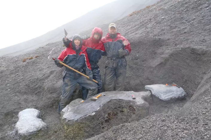 Under utgravingen av Keilhauia nui. Fra venstre: Linn Novis, Bjørn Lund og Tommy Wensås. (Foto: Spitsbergen Mesozoic Research Group)