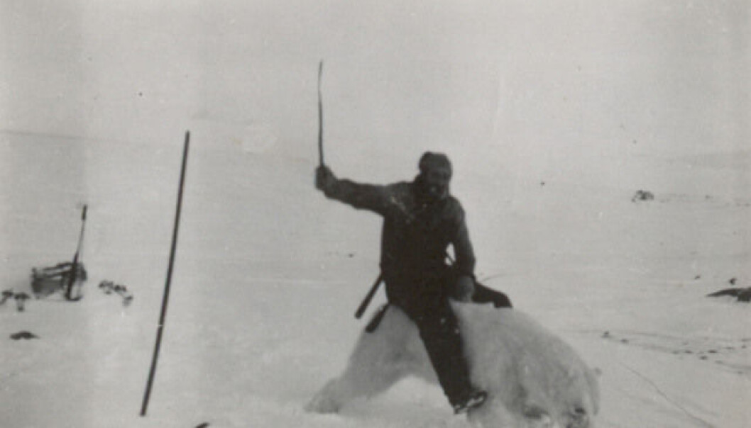 Henry Rudi var kjent som «Isbjørnkongen». Her poserer han på en stivfrossen isbjørn. (Foto: Norges arktiske universitetsmuseum) Henry Rudi var kjent som «Isbjørnkongen». Her poserer han på en stivfrossen isbjørn. (Foto: Norges arktiske universitetsmuseum)