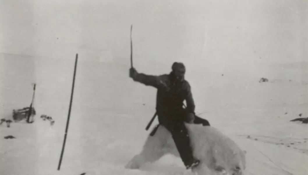 Henry Rudi var kjent som «Isbjørnkongen». Her poserer han på en stivfrossen isbjørn. (Foto: Norges arktiske universitetsmuseum)