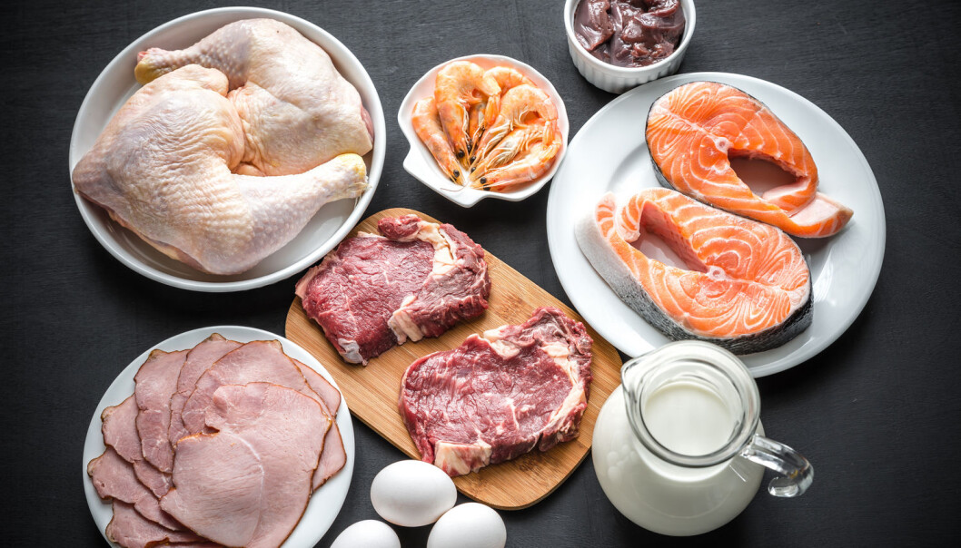Vitamin B12 finnes bare i dyreprodukter som kjøtt, meieriprodukter og egg. For lite B12 hos gravide kan være dramatisk for fosteret. (Foto: Shutterstock / NTB scanpix) Vitamin B12 finnes bare i dyreprodukter som kjøtt, meieriprodukter og egg. For lite B12 hos gravide kan være dramatisk for fosteret. (Foto: Shutterstock / NTB scanpix)