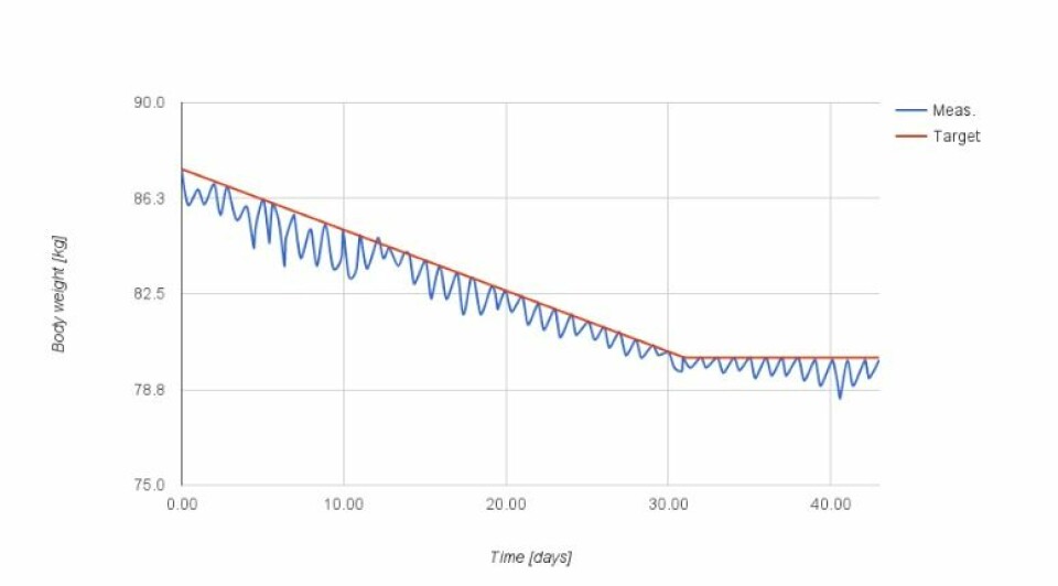 Kurven over Jakob Stoustrups vektutvikling over 40 dager viser at vekten (den blå kurven) treffer målet (rød) en gang om dagen. Når han når målet etter 31 dager, flater kurven ut. (Foto: (Graf fra Stoustrups blogg om slankekuren))