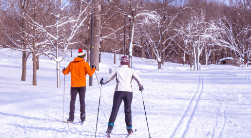 Forskere skal redde skisporten med snøproduksjon