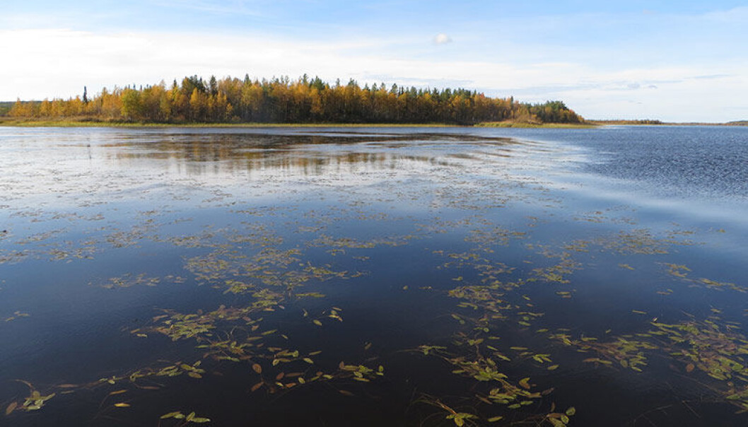 Lake-vaatto er innsjøen Vaatto rett nord for polarsirkelen i Finland. (Foto: Kimmo Kahilainen, INN) Lake-vaatto er innsjøen Vaatto rett nord for polarsirkelen i Finland. (Foto: Kimmo Kahilainen, INN)