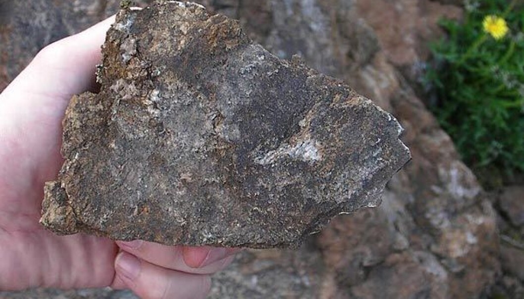 Denne bergarten inneholder blant annet thorium (Foto: Gunnvald Solli, Norsk Thorium) Denne bergarten inneholder blant annet thorium (Foto: Gunnvald Solli, Norsk Thorium)
