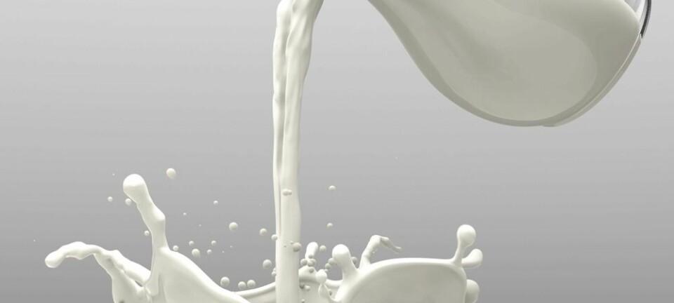 Hvor sunt er melk? Hvor begeistret er journalister i forskning.no for melk? Og velger vi studier etter hvilke matvarer vi liker best?