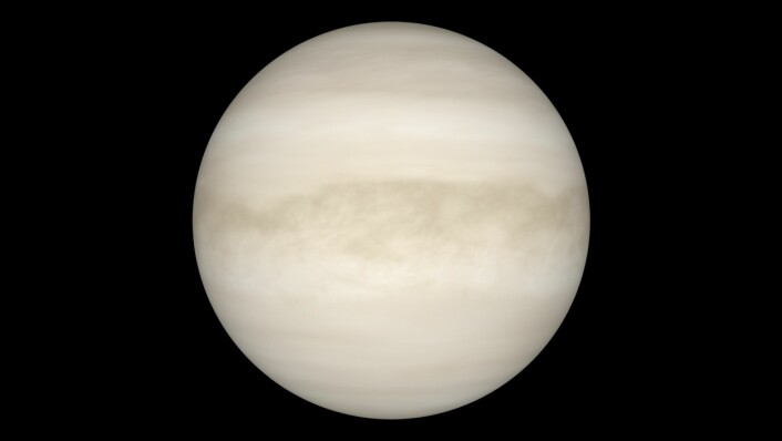 Venus slik den ser ut gjennom et teleskop. Overflaten er ikke synlig på grunn av det tykke skylaget. (Foto: NASA)