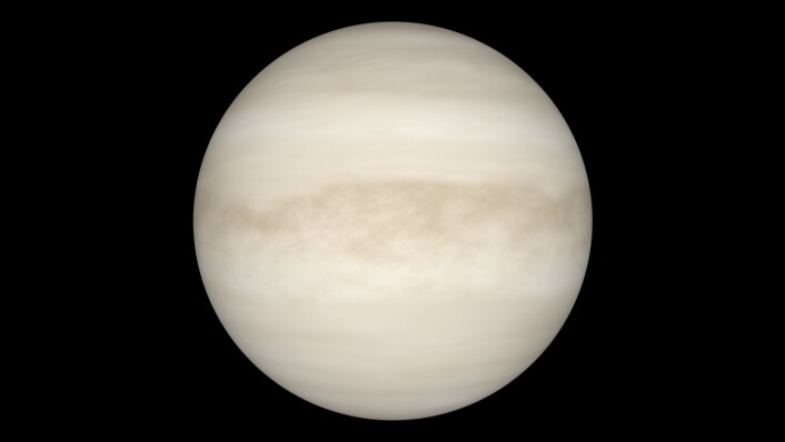 Venus slik den ser ut gjennom et teleskop. Overflaten er ikke synlig på grunn av det tykke skylaget. (Foto: NASA) Venus slik den ser ut gjennom et teleskop. Overflaten er ikke synlig på grunn av det tykke skylaget. (Foto: NASA)