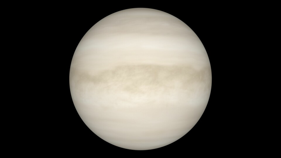 Venus slik den ser ut gjennom et teleskop. Overflaten er ikke synlig på grunn av det tykke skylaget. (Foto: NASA)
