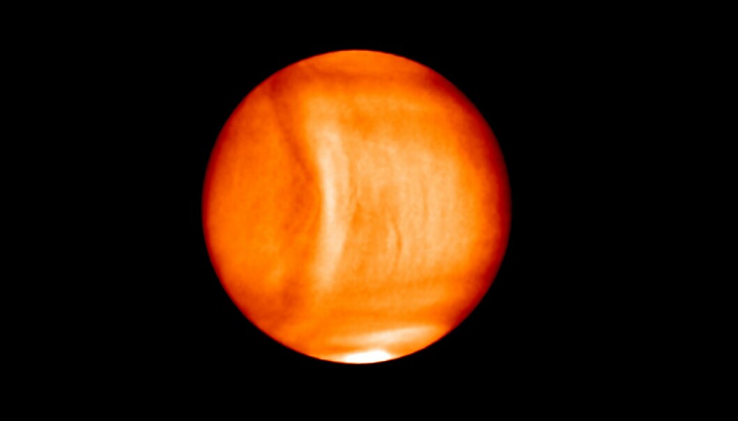 Dette er Venus sett i infrarødt lys. Bildene viser en gigantisk bueformet bølge i atmosfæren. (Foto: ©Planet-C)