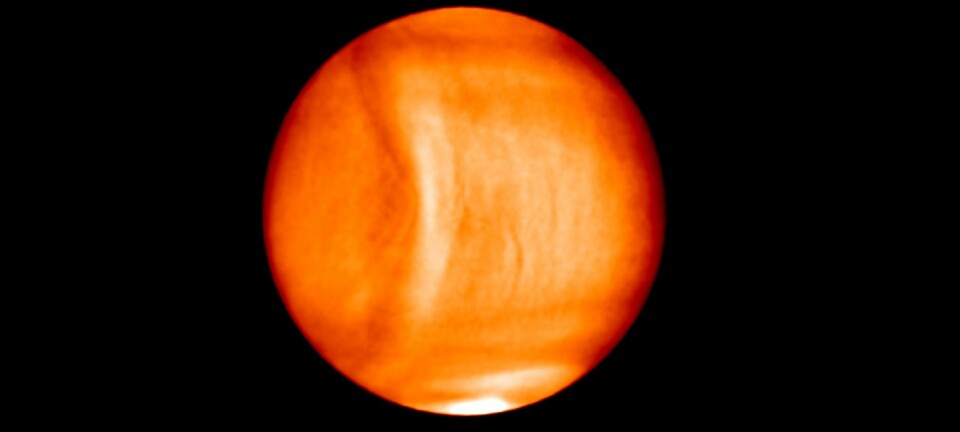 Dette er Venus sett i infrarødt lys. Bildene viser en gigantisk bueformet bølge i atmosfæren. (Foto: ©Planet-C)