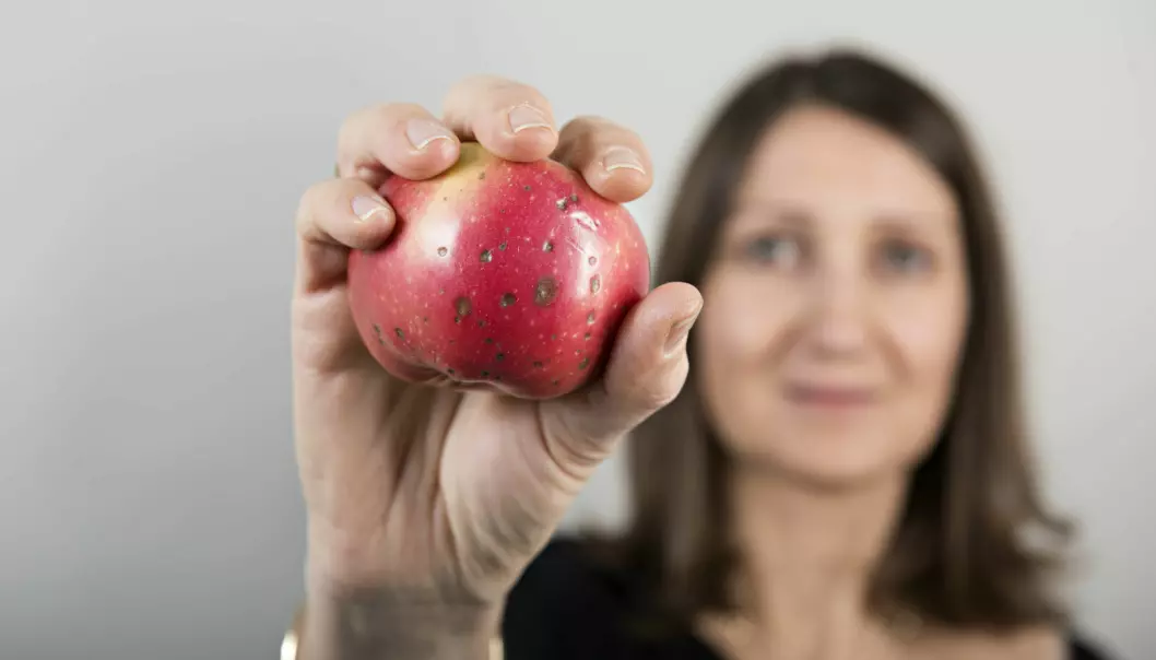 Hvordan få folk til å kjøpe epler med blåmerker?