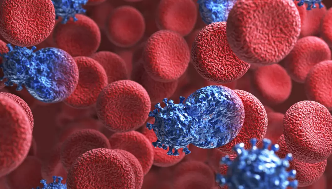 Kreftceller suger til seg næring fra nabocellene
