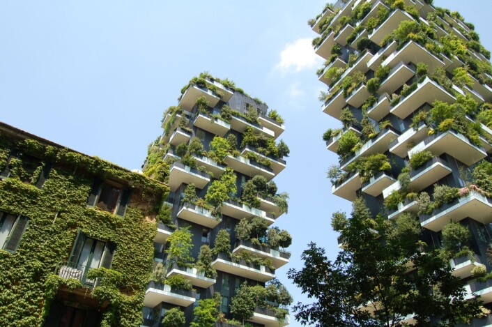 Hvordan vil dette påvirke evolusjonen? Bosco Verticale (Den vertikale skogen) i Milano i Italia. Bolighus med plass til mer enn 900 trær. (Foto: Christos Barbalis, Creative Commons CC0 1.0) Hvordan vil dette påvirke evolusjonen? Bosco Verticale (Den vertikale skogen) i Milano i Italia. Bolighus med plass til mer enn 900 trær. (Foto: Christos Barbalis, Creative Commons CC0 1.0)