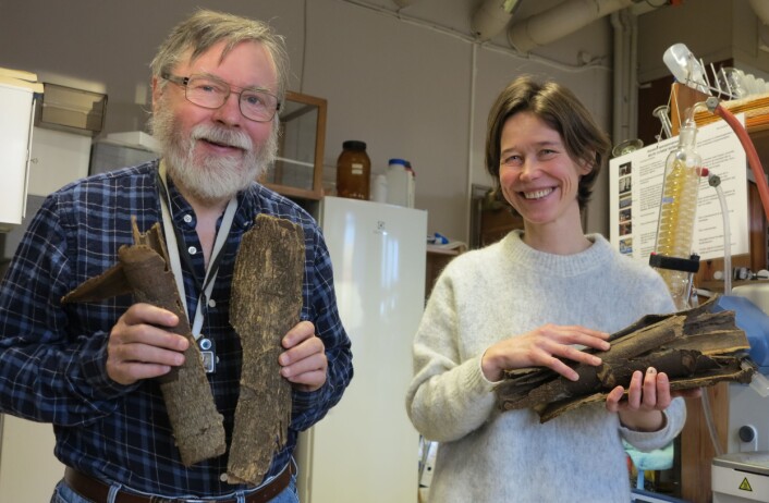 Karl Egil Malterud og Helle Wangensteen med barken fra det afrikanske olontreet, som inneholder stoffer med virkning mot både malariamyggen og malariaparasitten. (Foto: Bjarne Røsjø, UiO) Karl Egil Malterud og Helle Wangensteen med barken fra det afrikanske olontreet, som inneholder stoffer med virkning mot både malariamyggen og malariaparasitten. (Foto: Bjarne Røsjø, UiO)