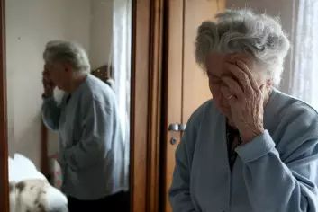Milepæl i Alzheimersforskning er funnet, skrev flere større medier i siste uke. To danske forskere er imidlertid skeptiske.(Foto: Colourbox) (Foto: Colourbox)
