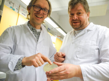 Pål Johnsen og Klaus Harms. (Foto: Elisabeth Øvreberg) Pål Johnsen og Klaus Harms. (Foto: Elisabeth Øvreberg)