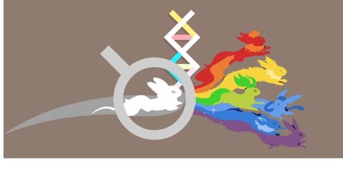 Eevee-lution. Logo laget for det internasjonale seminaret om kryptiske arter som ble arrangert ved Naturhistorisk museum i juni. (Foto: (Illustrasjon: Modified from 4walled.cc)) Eevee-lution. Logo laget for det internasjonale seminaret om kryptiske arter som ble arrangert ved Naturhistorisk museum i juni. (Foto: (Illustrasjon: Modified from 4walled.cc))