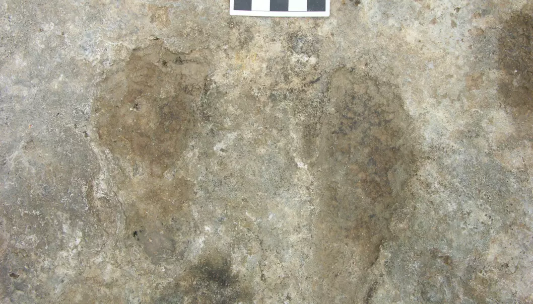 Disse fotavtrykkene er mer enn 7000 år gamle