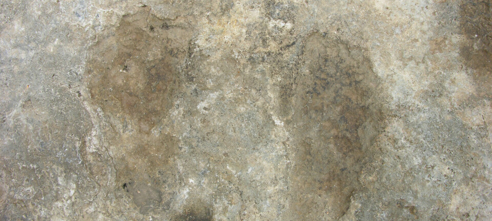 De mørke flekkene er fotspor etter folk som bevegde seg her for tusenvis av år siden. Leiren kom ut av varme kilder, og sporene ble satt for mer enn 7000 år siden. (Foto: Mark Aldenderfer)