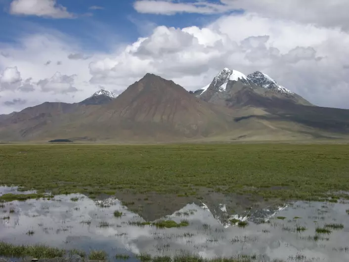 Våtområder på Tibetplatået. (Foto: Mark Aldenderfer)