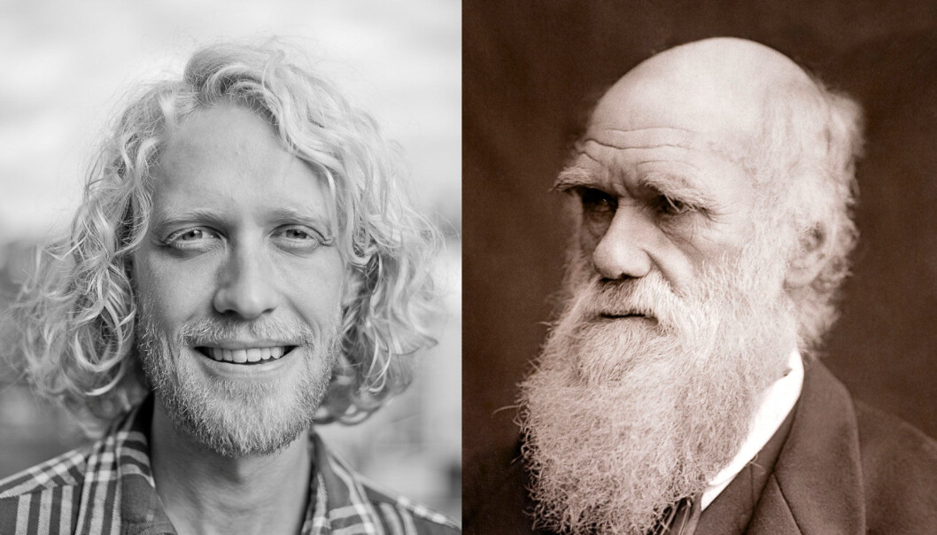 Kjetil Lysne Voje har gransket 450 fossile utviklingslinjer og funnet at dyr også gjennomgår evolusjon når de tilsynelatende ikke endrer seg. (Foto: Unni Vik/Science Photo Library) Kjetil Lysne Voje har gransket 450 fossile utviklingslinjer og funnet at dyr også gjennomgår evolusjon når de tilsynelatende ikke endrer seg. (Foto: Unni Vik/Science Photo Library)