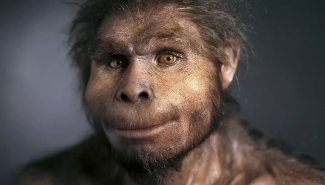 Homo erectus er et tidlig menneske og en av våre forfedre. Det kan ha vært en slik type som levde og spiste mat for 800 000 år siden, på stedet i Israel.