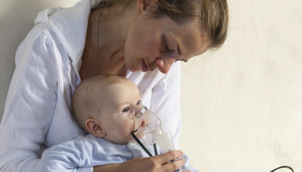 Fiskeolje til gravide forebygger astma hos barna